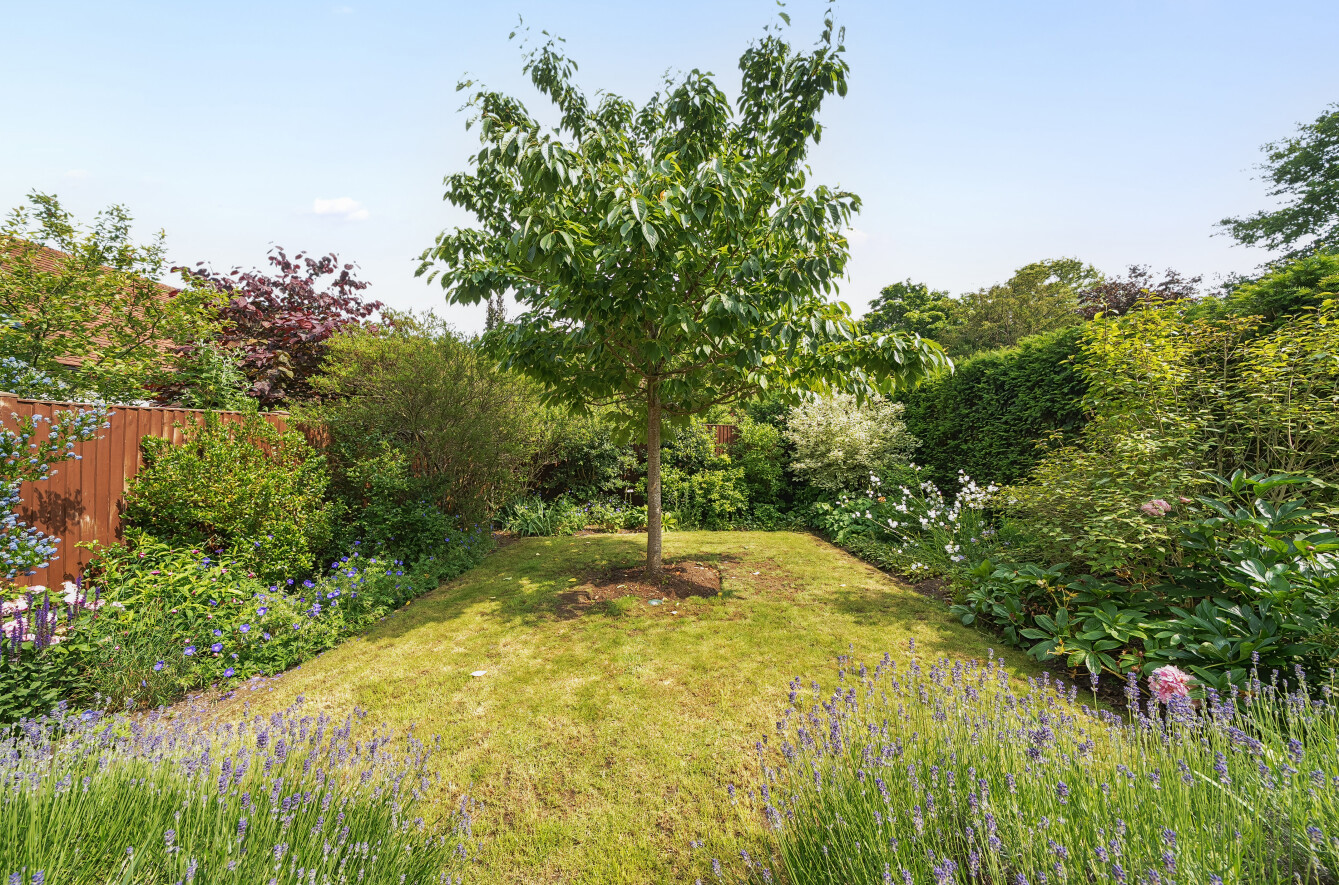 Sutton Park, Sutton Green, Guildford, GU4, photo 35