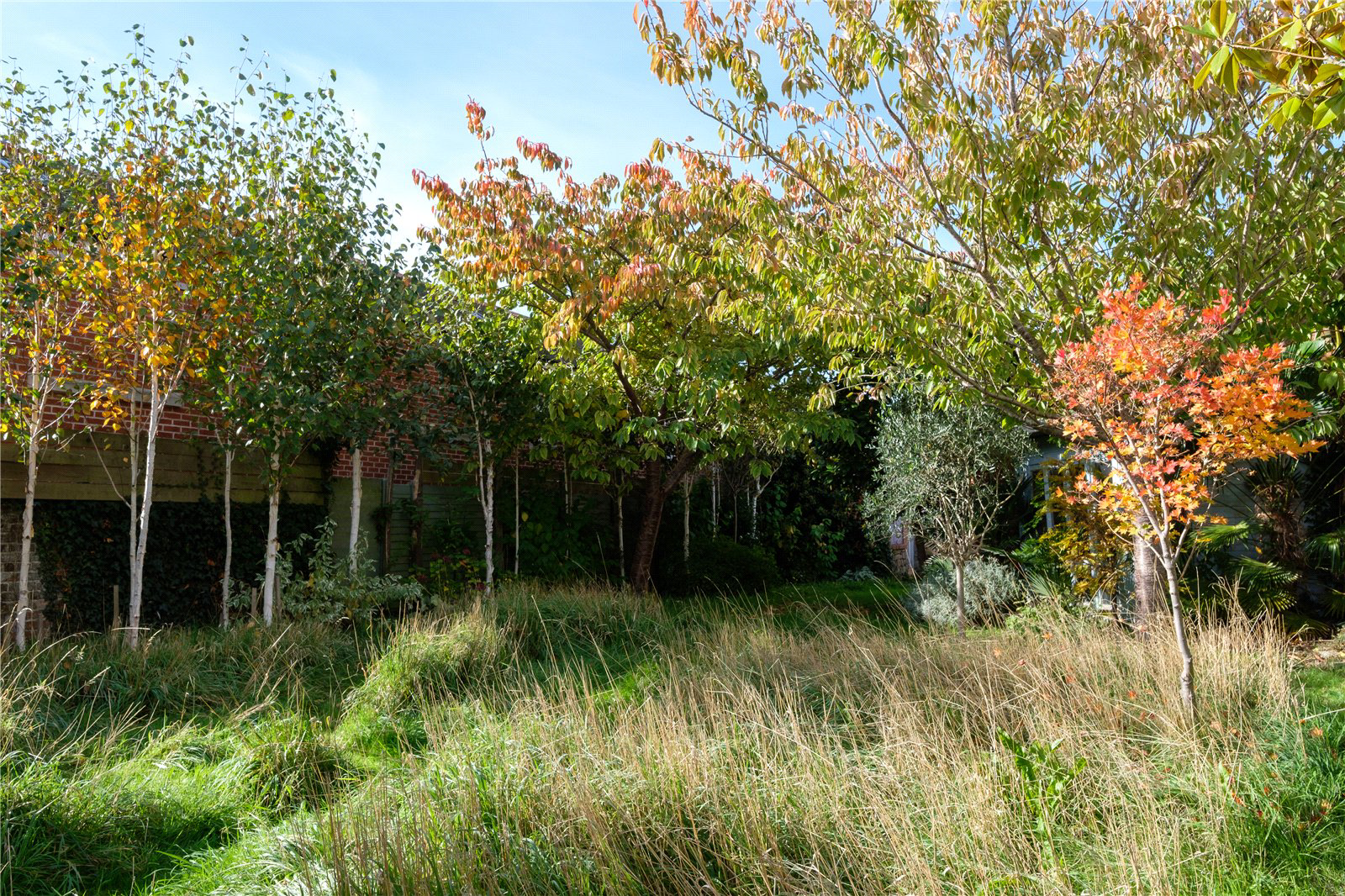 South Street, Bridport, Dorset, DT6, photo 27