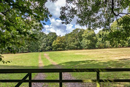 Hinksden Road, Benenden, Kent, TN17, photo 19