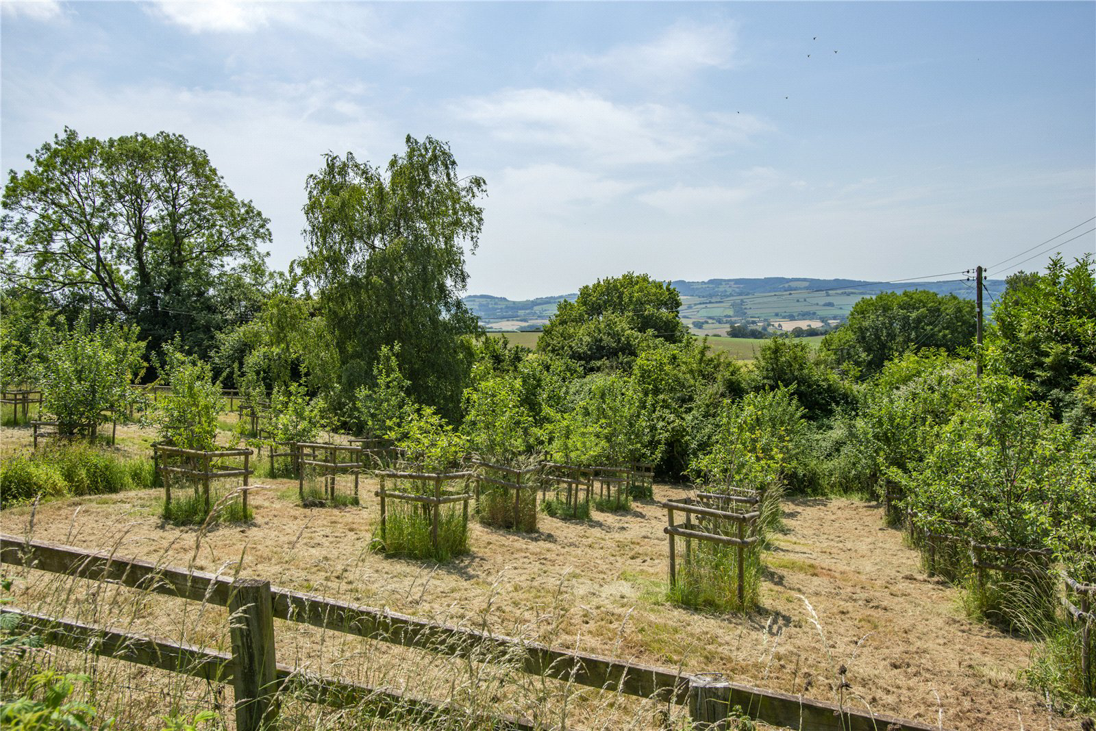 Crowcombe, Taunton, Somerset, TA4, photo 23