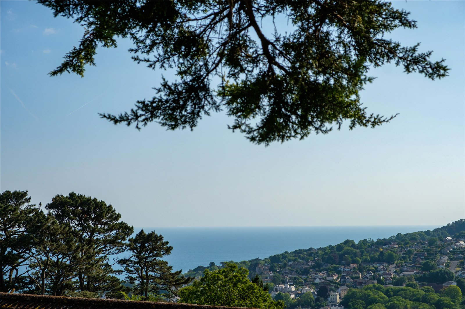 Timber Hill, Lyme Regis, Dorset, DT7, photo 7