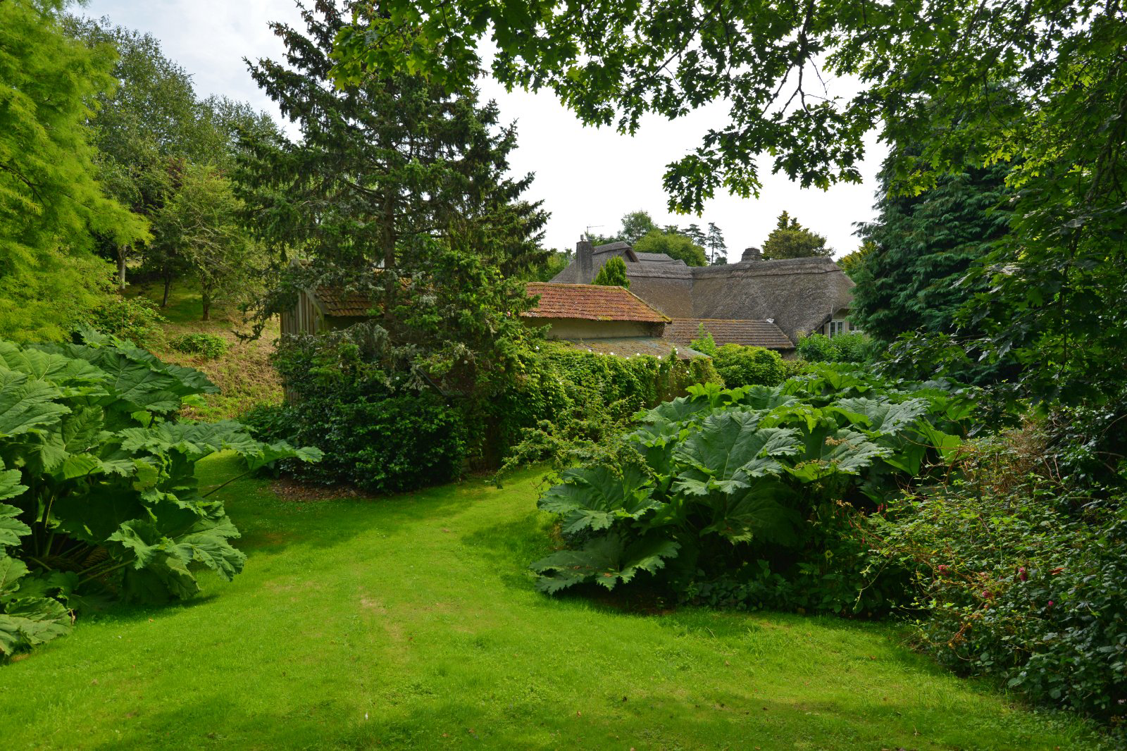 Teign Valley, Dunsford, Exeter, Devon, EX6, photo 13