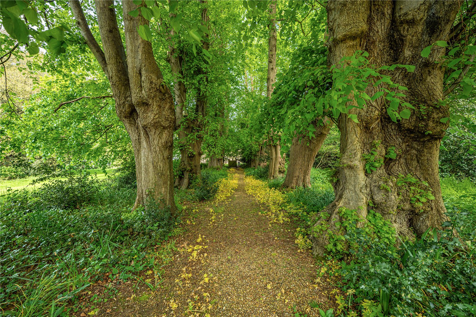 Little Whelnetham, Bury St Edmunds, Suffolk, IP30, photo 24