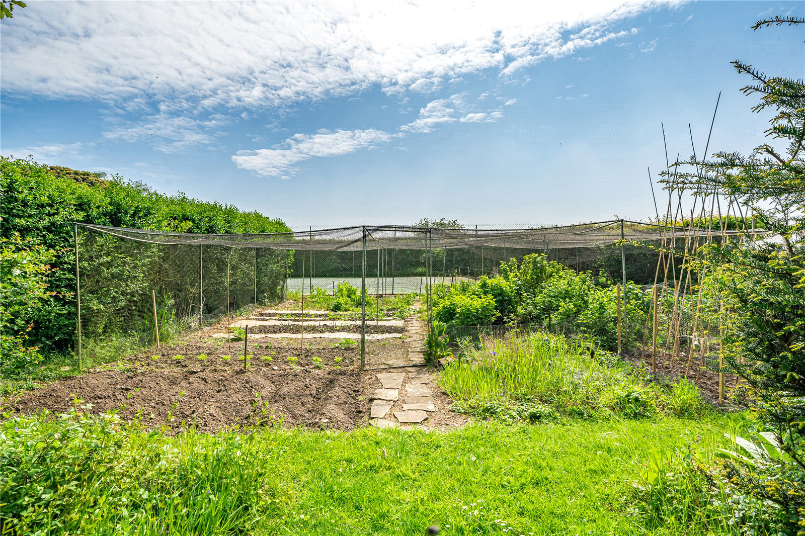 Little Whelnetham, Bury St Edmunds, Suffolk, IP30, photo 22
