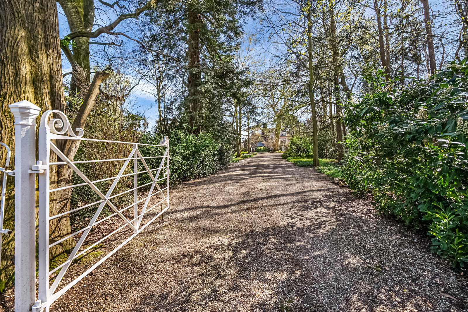 Little Whelnetham, Bury St Edmunds, Suffolk, IP30, photo 8