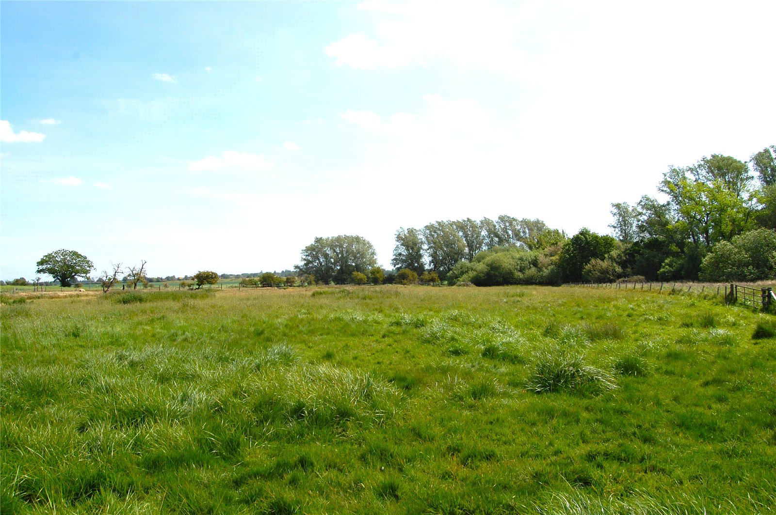 Benyon Gardens, Culford, Bury St Edmunds, Suffolk, IP28, photo 15