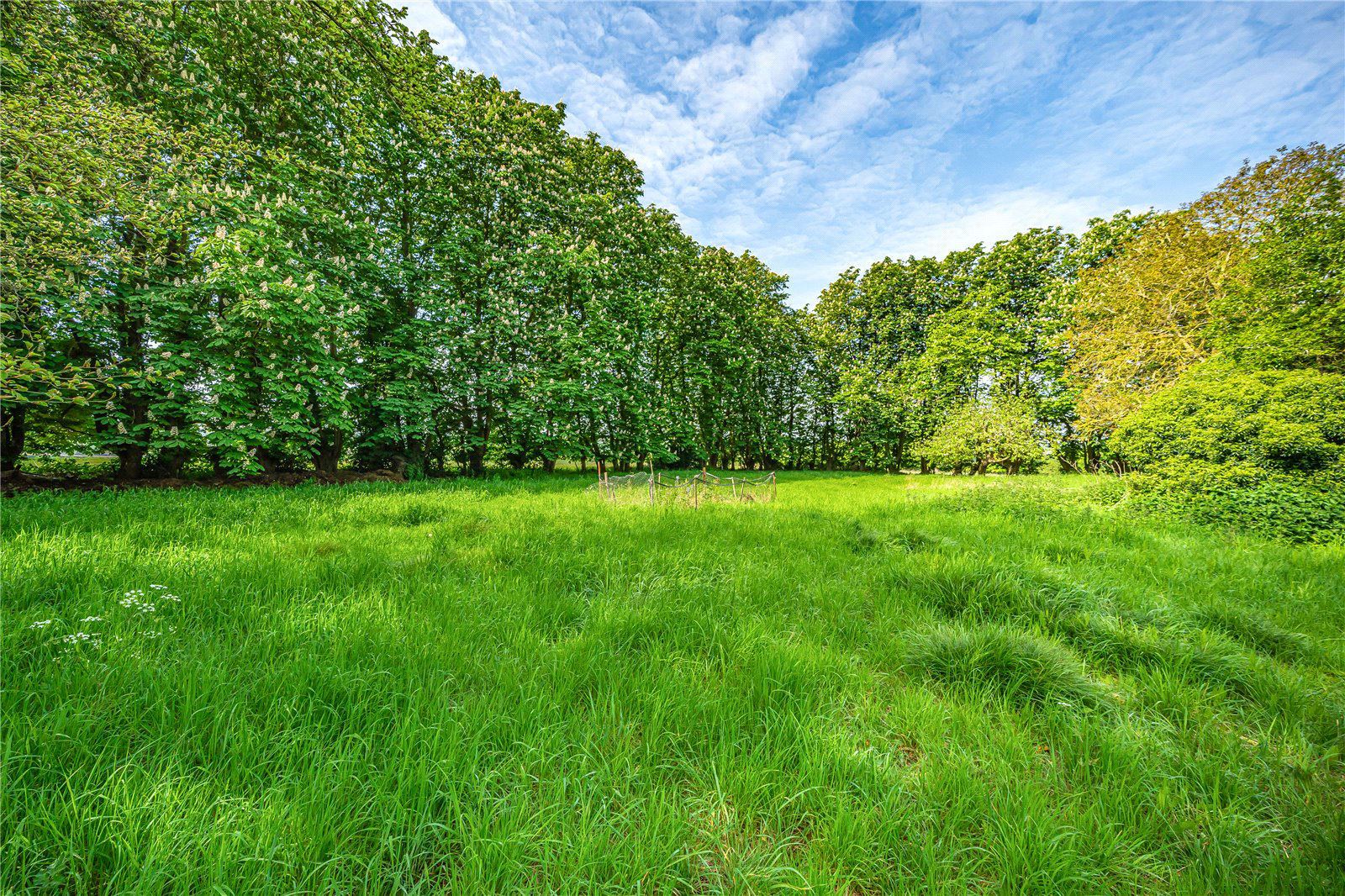 Little Whelnetham, Bury St Edmunds, Suffolk, IP30, photo 23