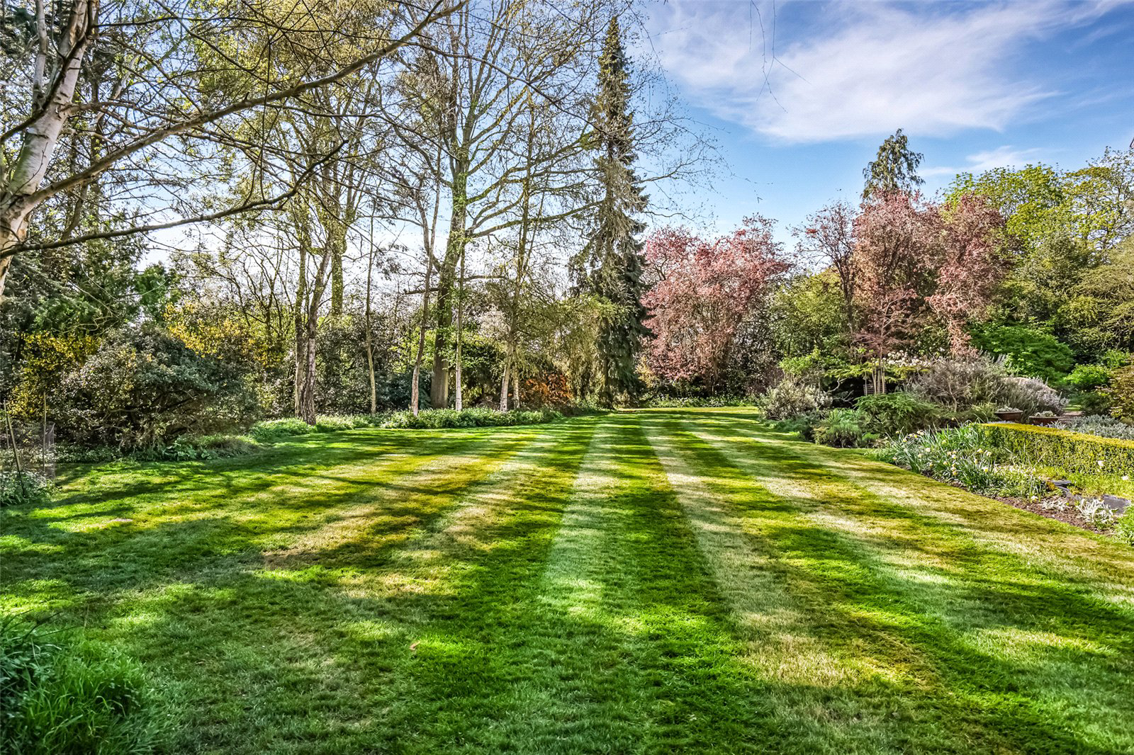 Little Whelnetham, Bury St Edmunds, Suffolk, IP30, photo 29
