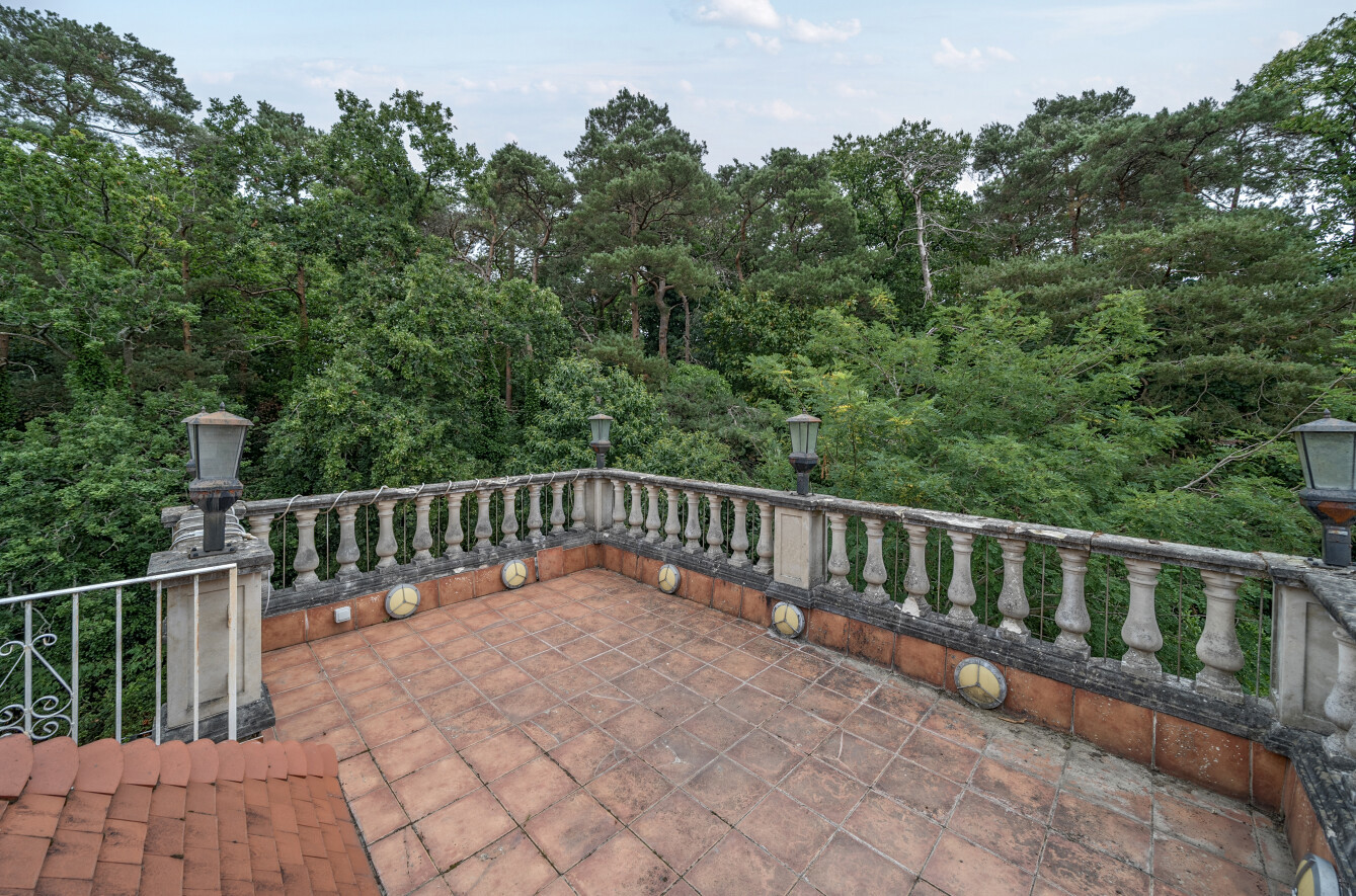 Maywood Drive, Camberley, Surrey, GU15, photo 39