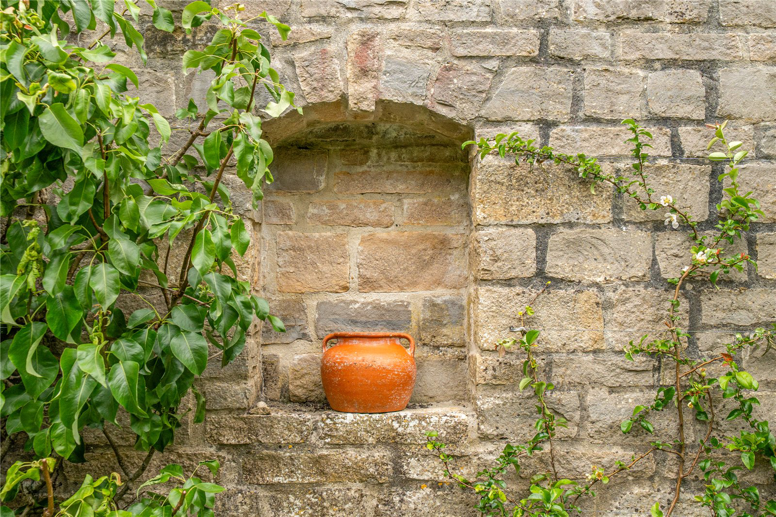 Fleet Street, Beaminster, Dorset, DT8, photo 29