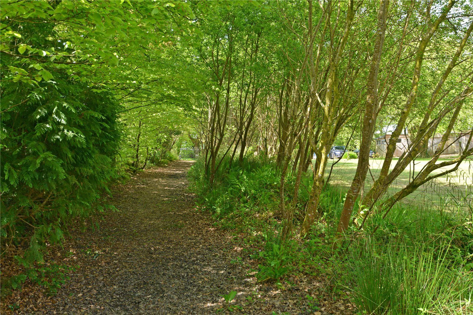 Photo 20