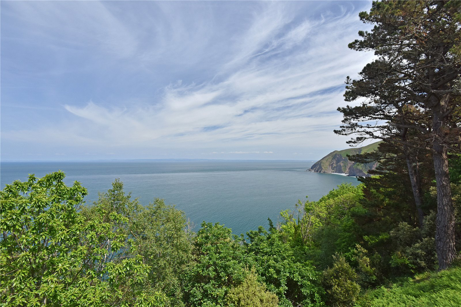 Countisbury Hill, Lynmouth, Devon, EX35, photo 18