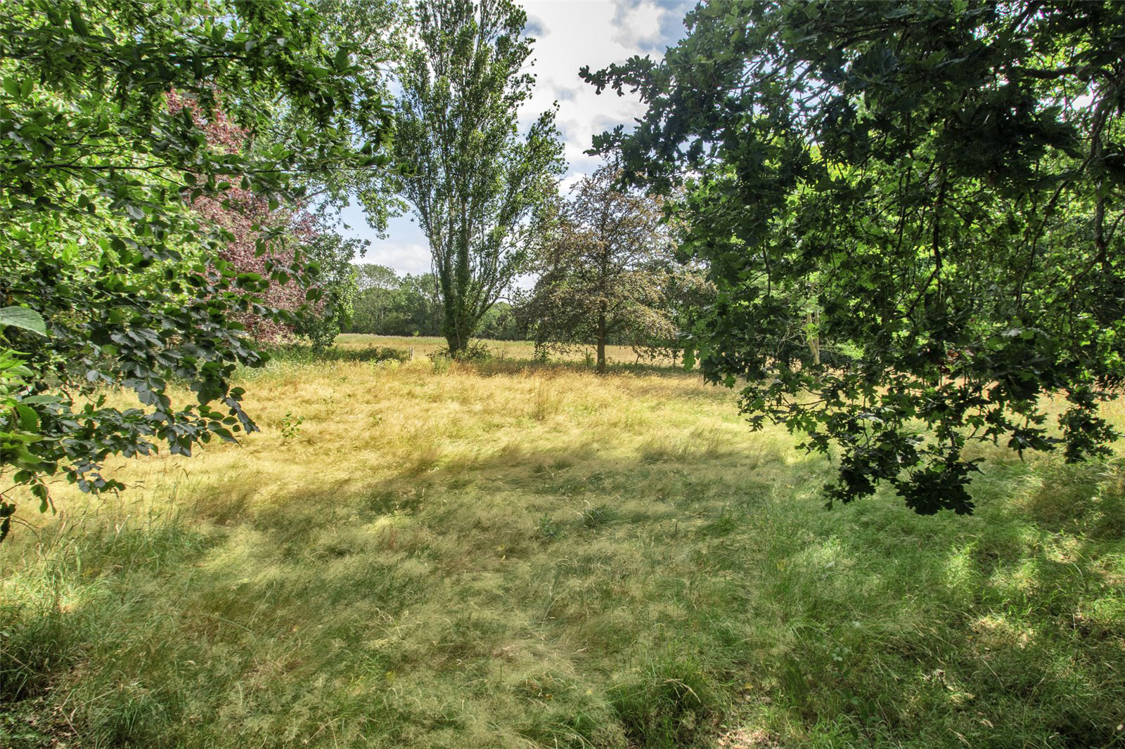 Walkhurst Road, Benenden, Cranbrook, Kent, TN17, photo 26
