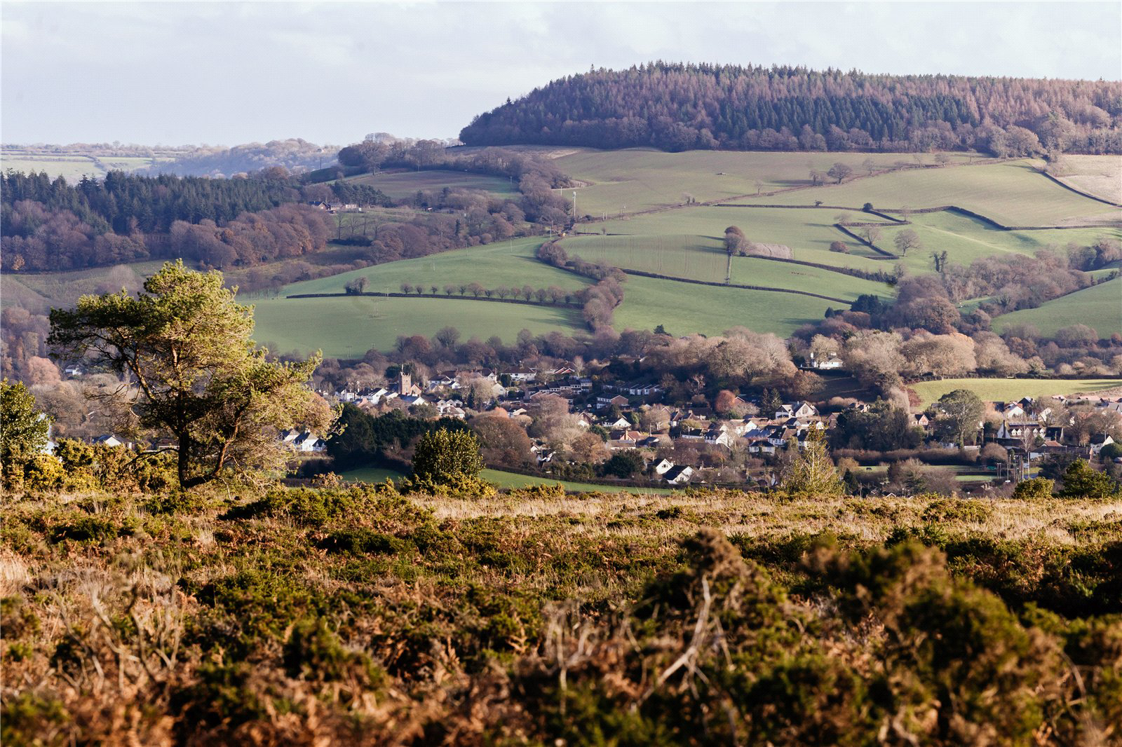 Waterleat Gardens, Newton Poppleford, Sidmouth, Devon, EX10, photo 8