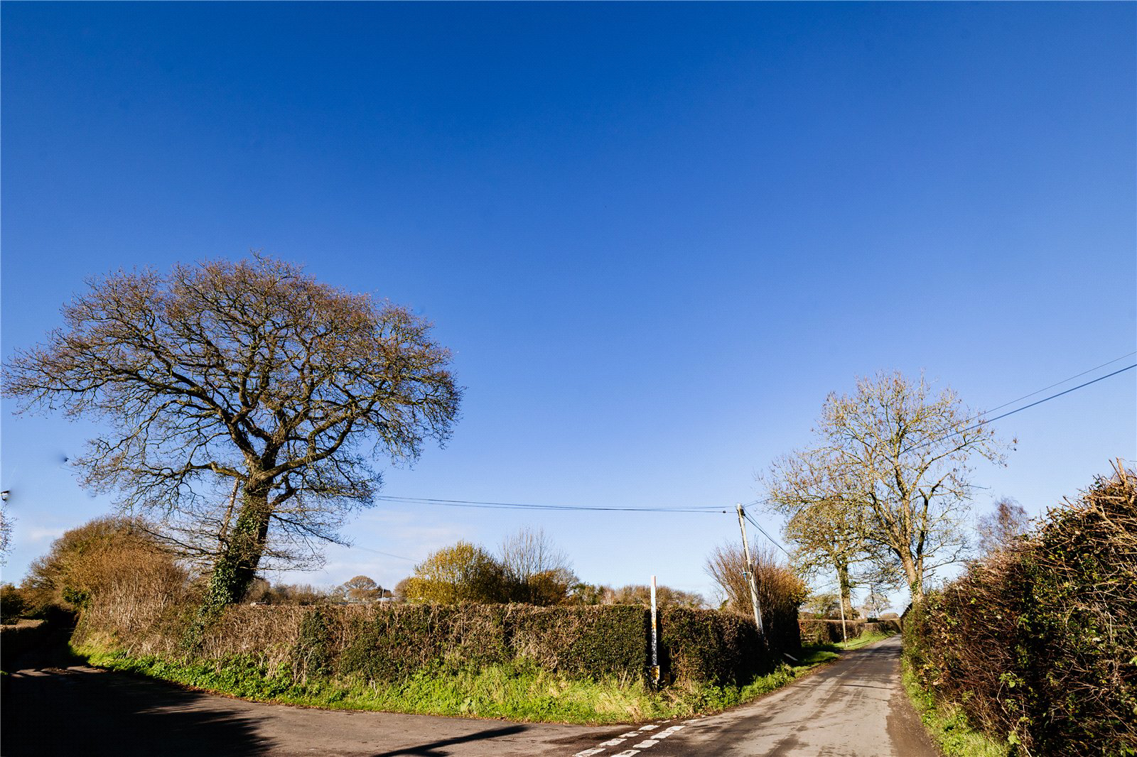 Waterleat Gardens, Newton Poppleford, Sidmouth, Devon, EX10, photo 7