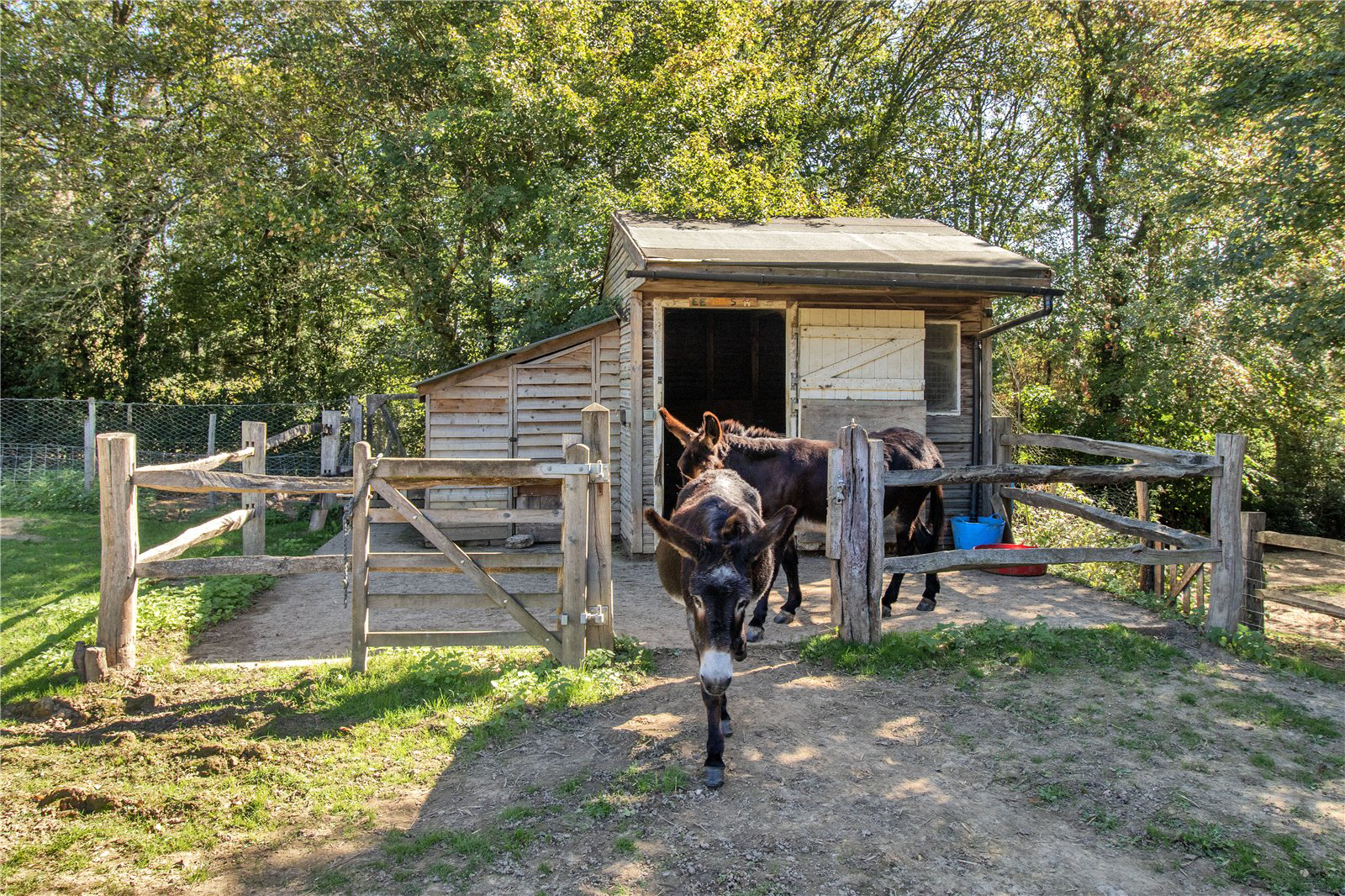 Stable