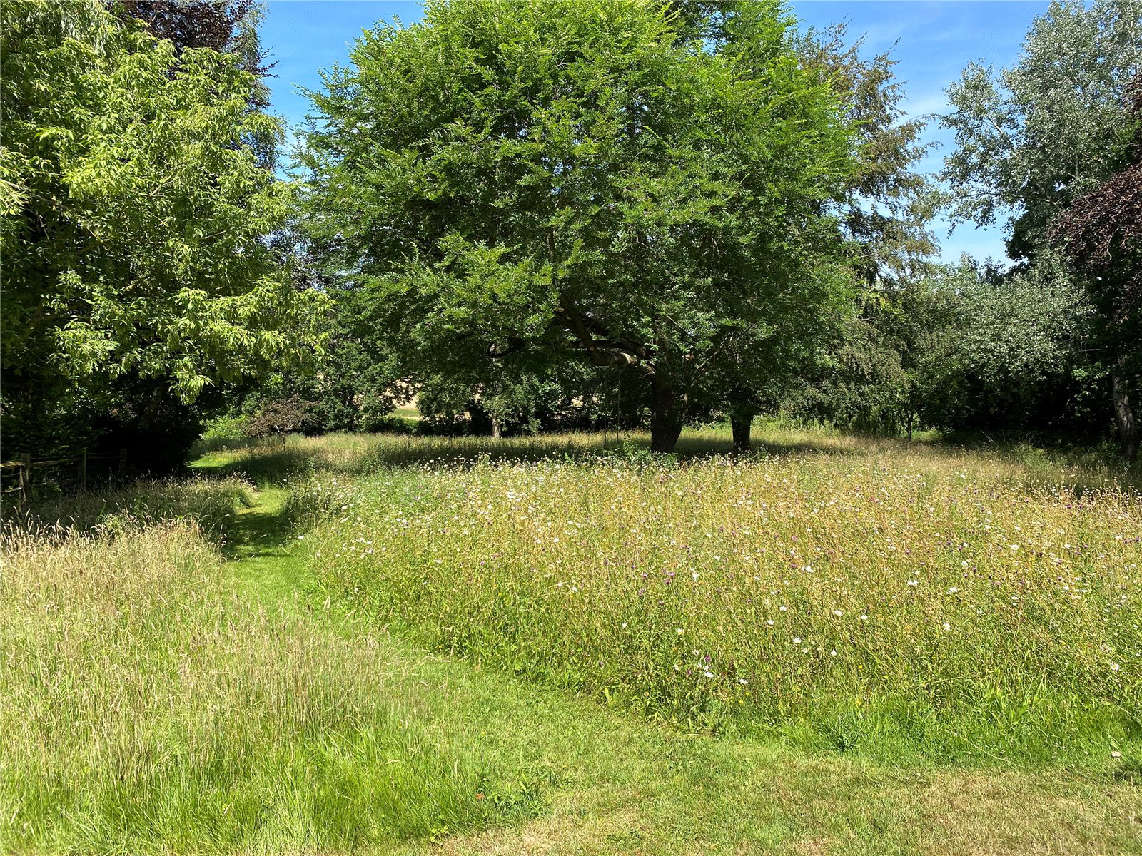 High Tilt, Cranbrook, Kent, TN17, photo 16