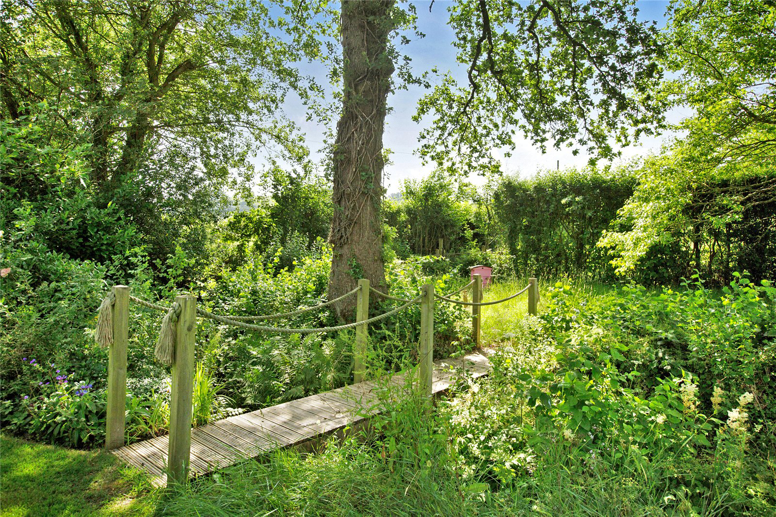 Cheriton Fitzpaine, Crediton, Devon, EX17, photo 20