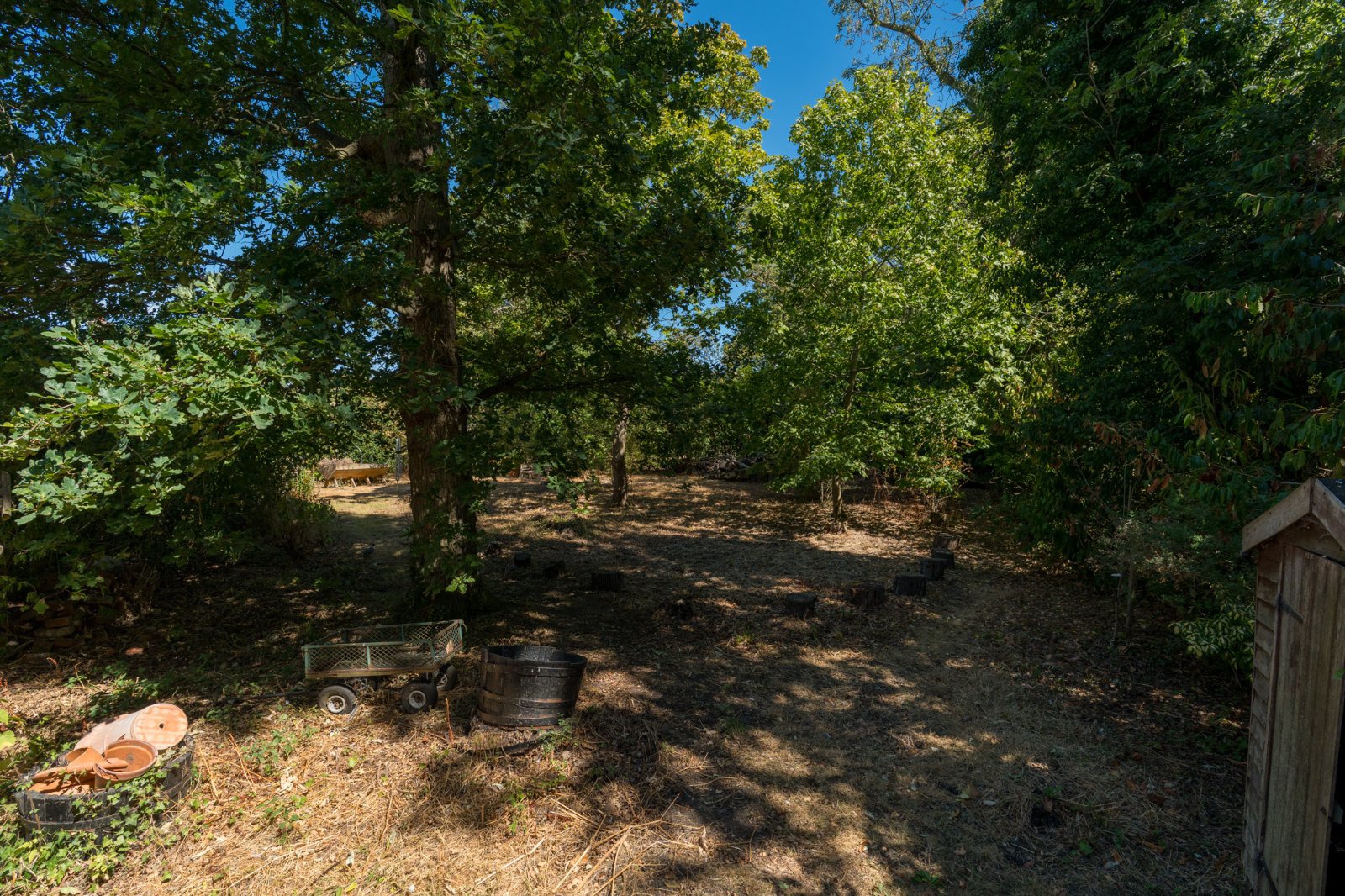 Beacon Hill, Wickham Bishops, Maldon, Essex, CM8, photo 4