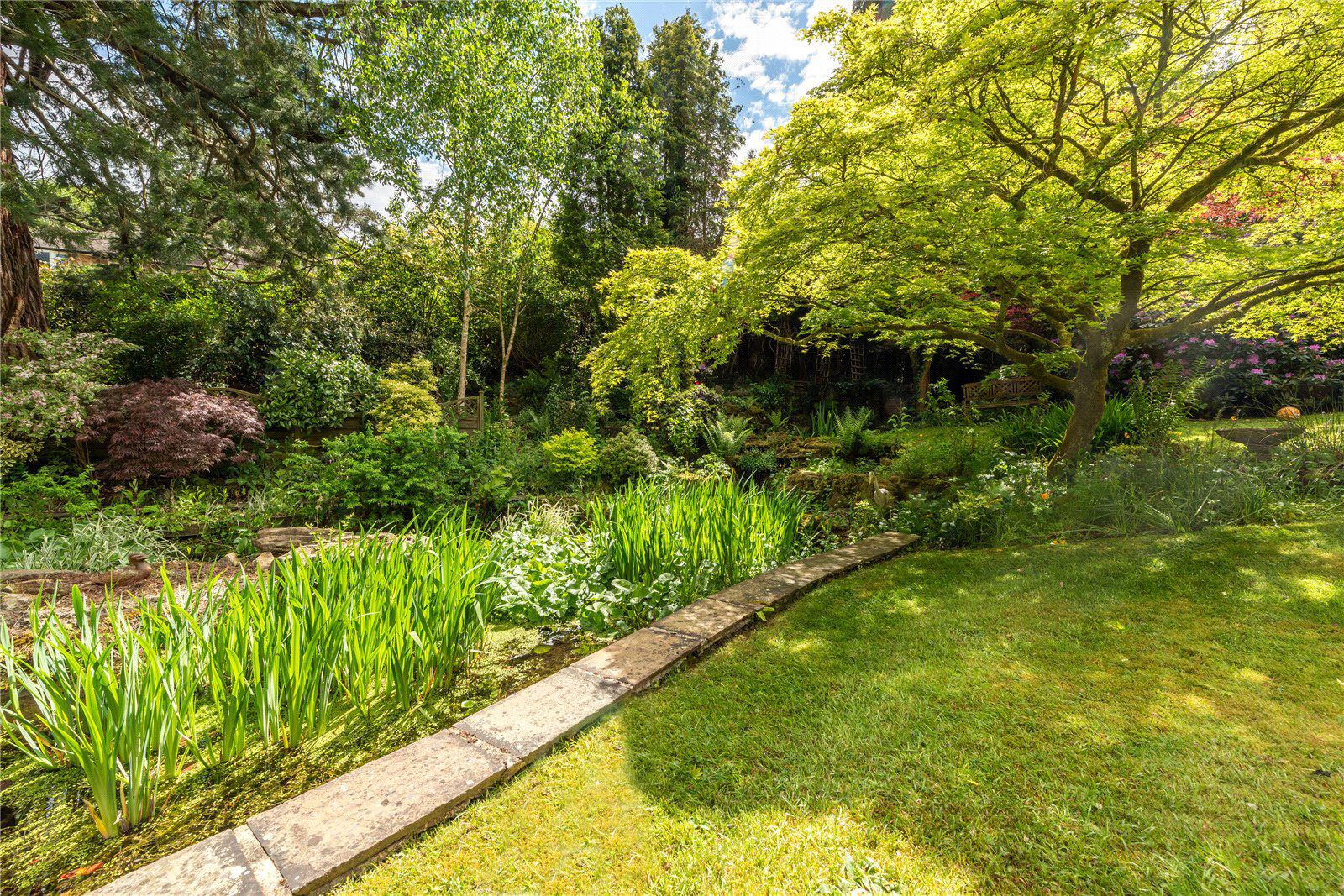 Broomfield Park, Westcott, Dorking, Surrey, RH4, photo 7