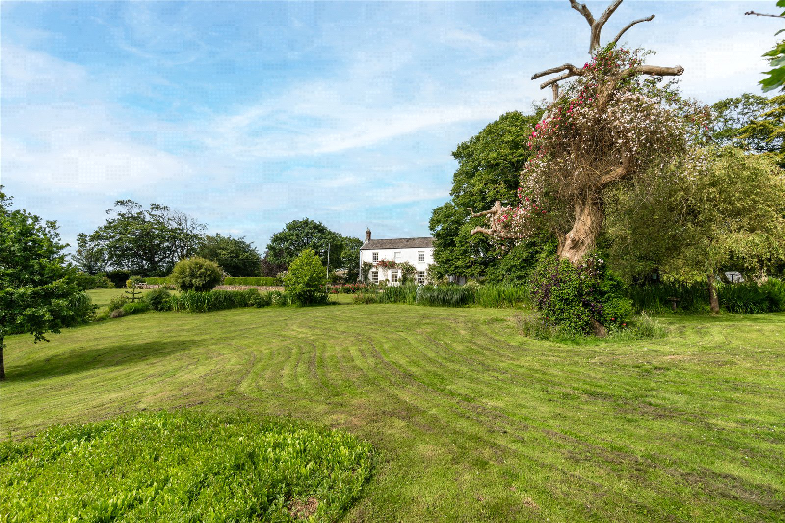 Fairy Cross, Bideford, EX39, photo 26