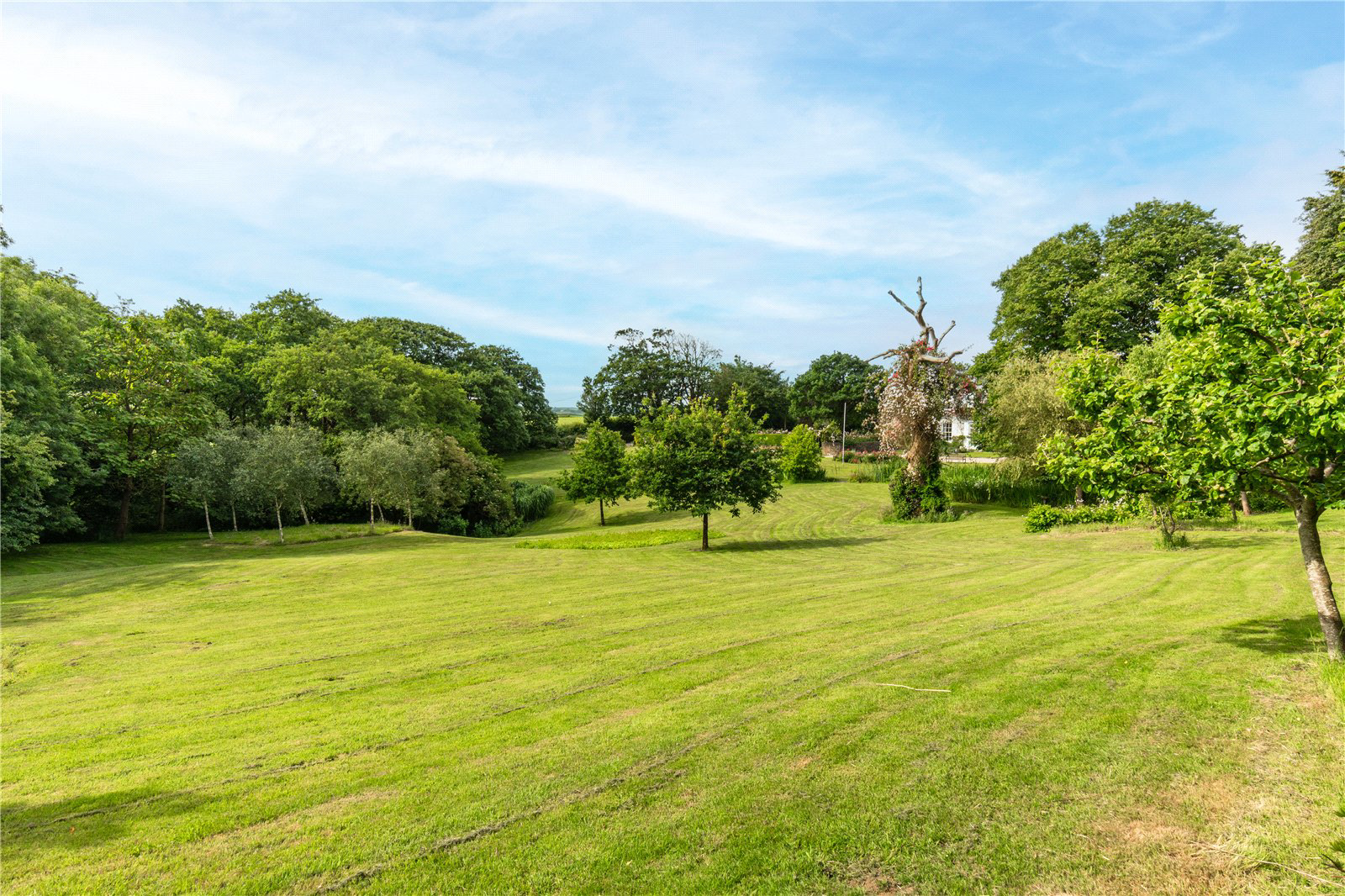 Fairy Cross, Bideford, EX39, photo 28