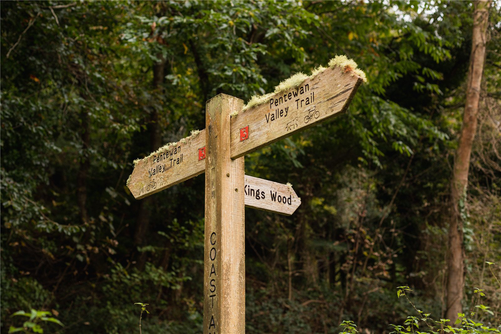 Kingswood, Pentewan Valley, PL26, photo 9