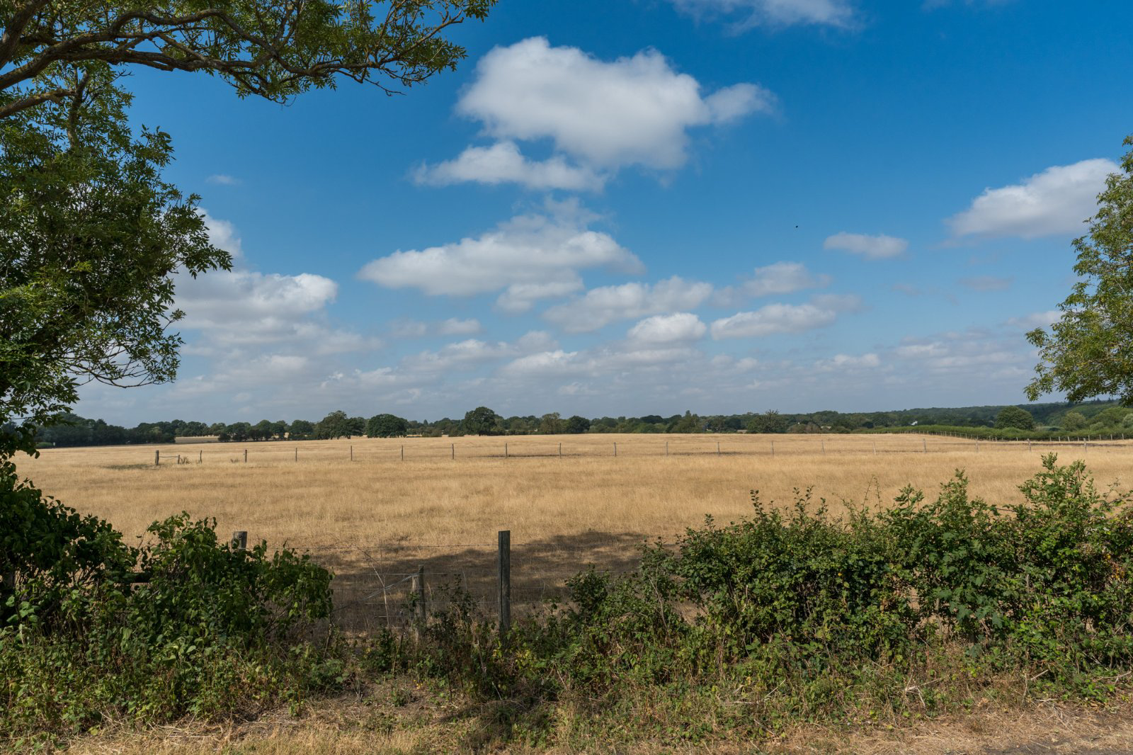 Chapel Road, Fingringhoe, Colchester, Essex, CO5, photo 34