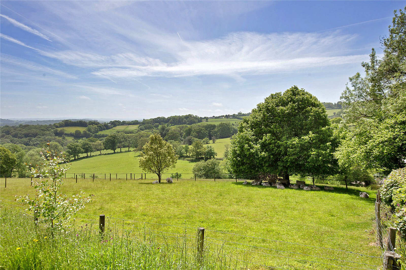 Haytor, Newton Abbot, Devon, TQ13, photo 19