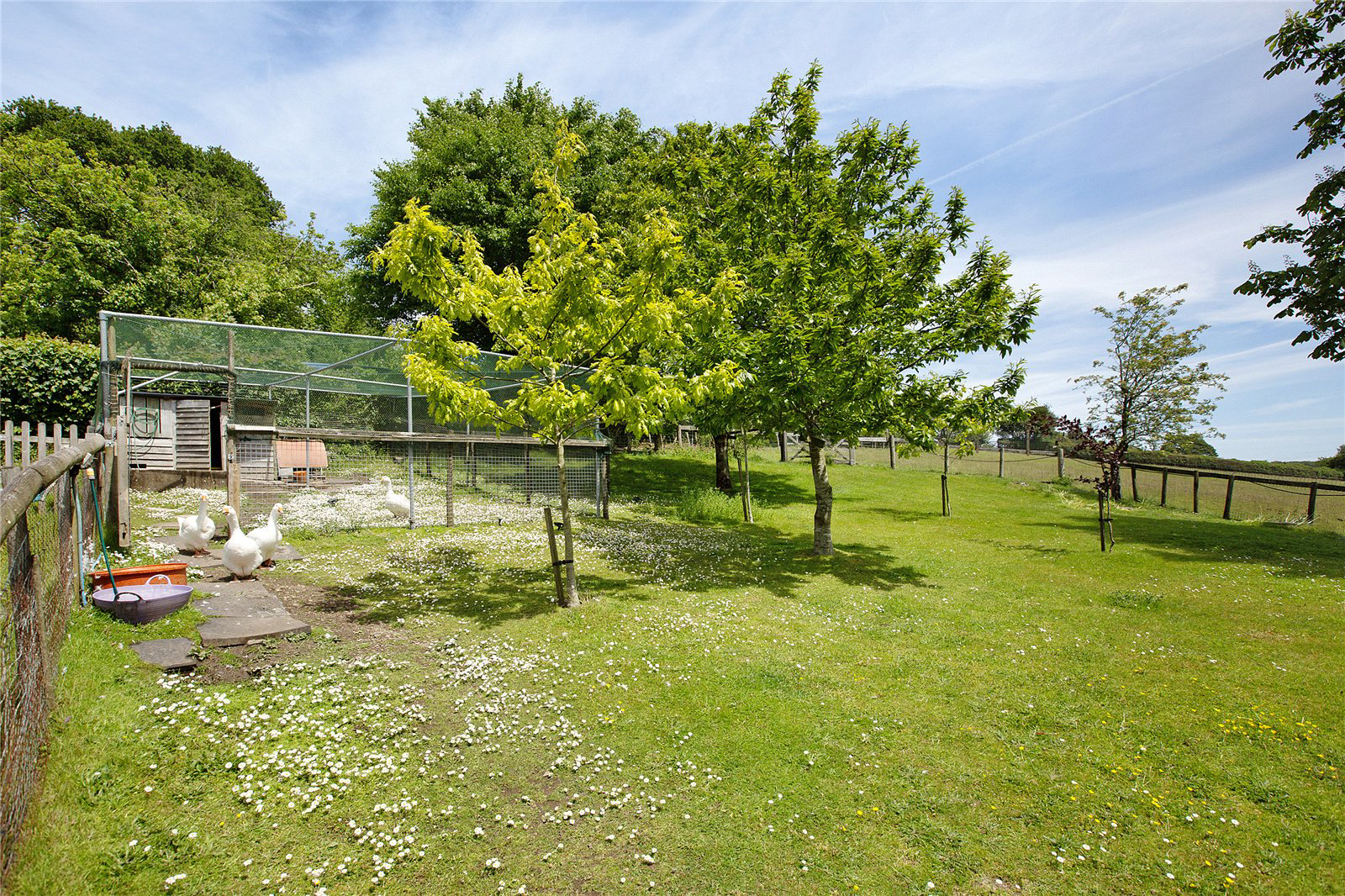 Haytor, Newton Abbot, Devon, TQ13, photo 20