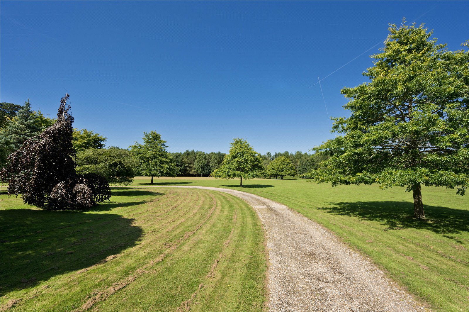 Sutton Park, Sutton Green, Guildford, Surrey, GU4, photo 20
