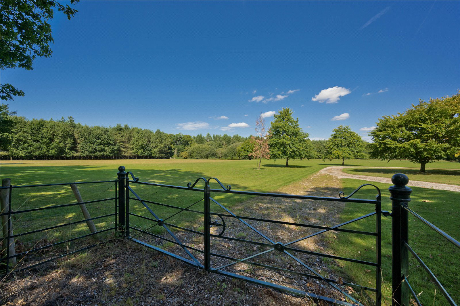 Sutton Park, Sutton Green, Guildford, Surrey, GU4, photo 23