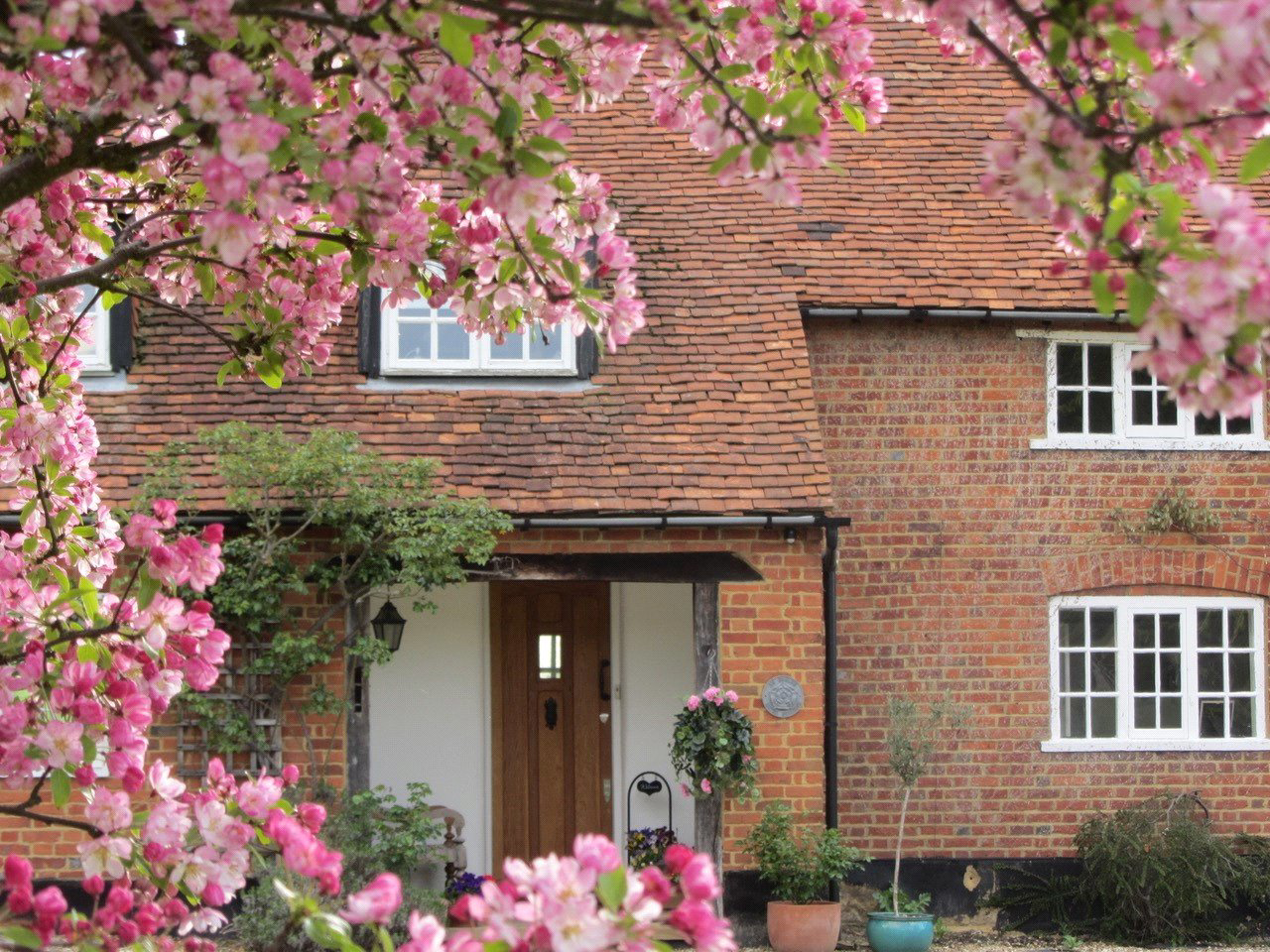 Long Reach, Ockham, Surrey, GU23, photo 36