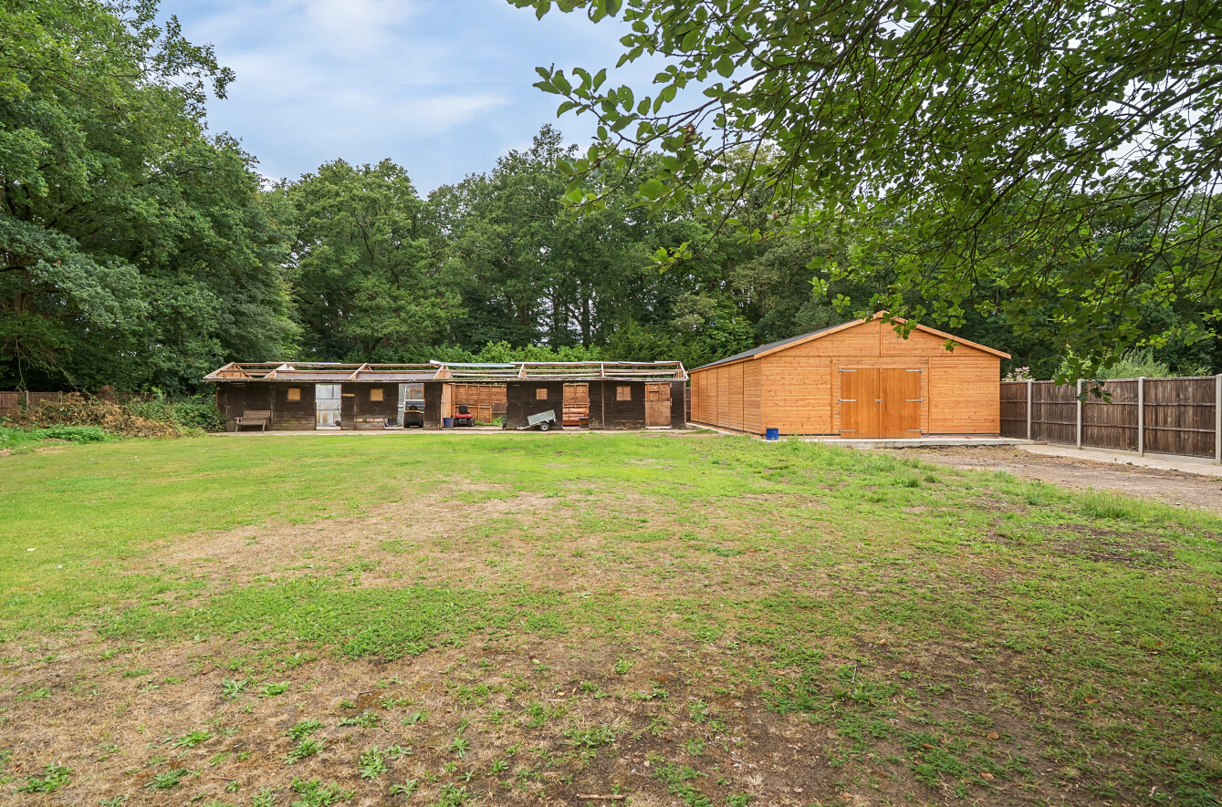 New Lane, Sutton Green, Guildford, Surrey, GU4, photo 27