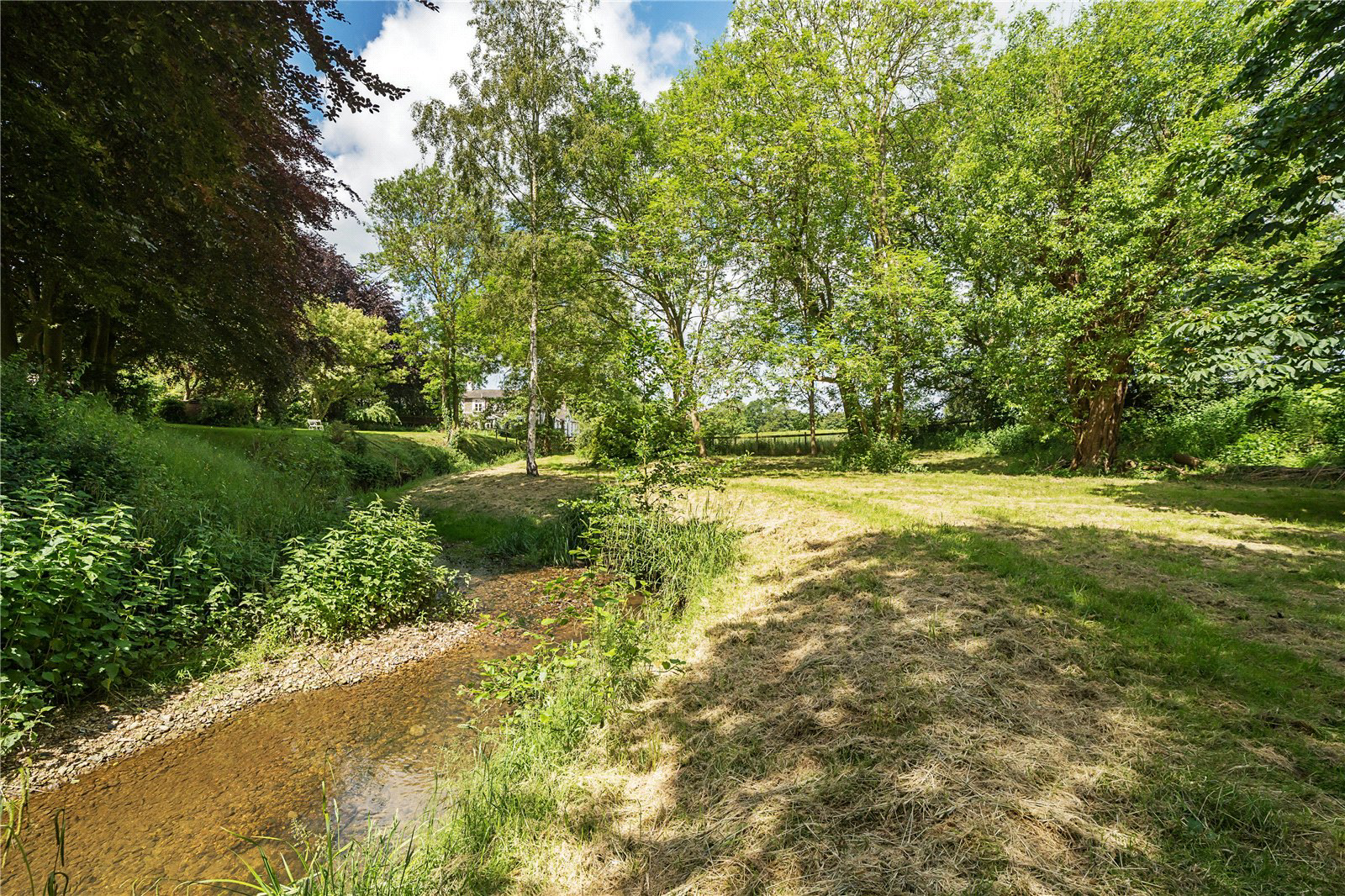 The Stream