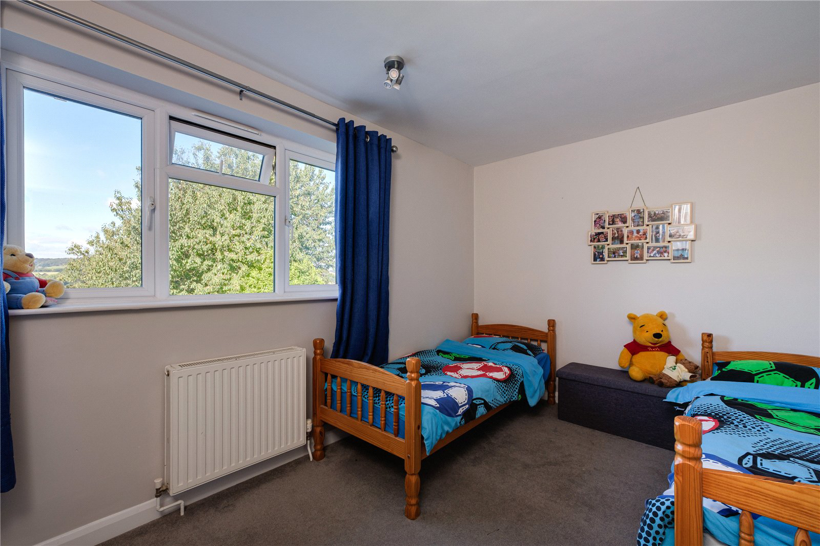 Crock Lane, Bridport, Dorset, DT6, photo 30