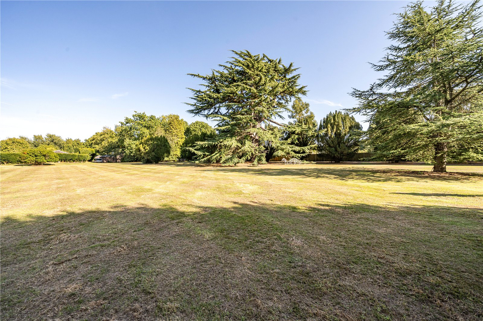 Rackheath Park, Rackheath, Norwich, Norfolk, NR13, photo 7