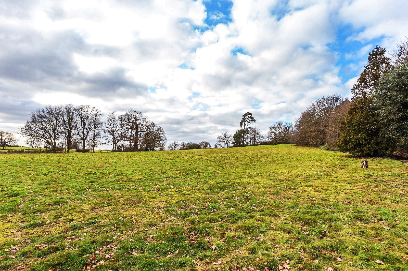 Grounds