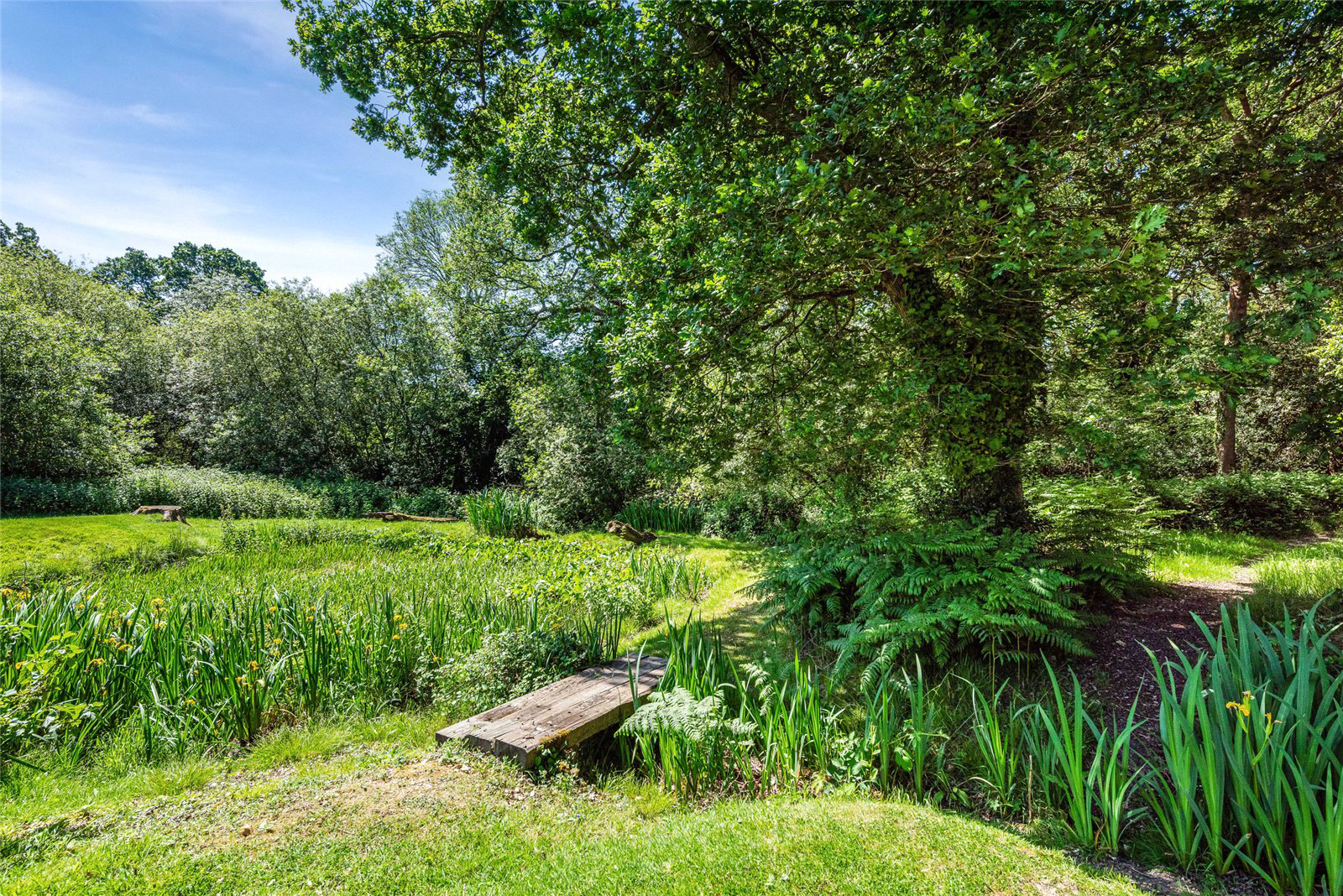 Monks Hill, Emsworth, West Sussex, PO10, photo 21