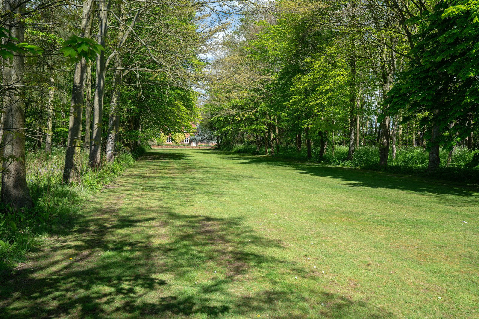 Washbrook, Ipswich, Suffolk, IP8, photo 17