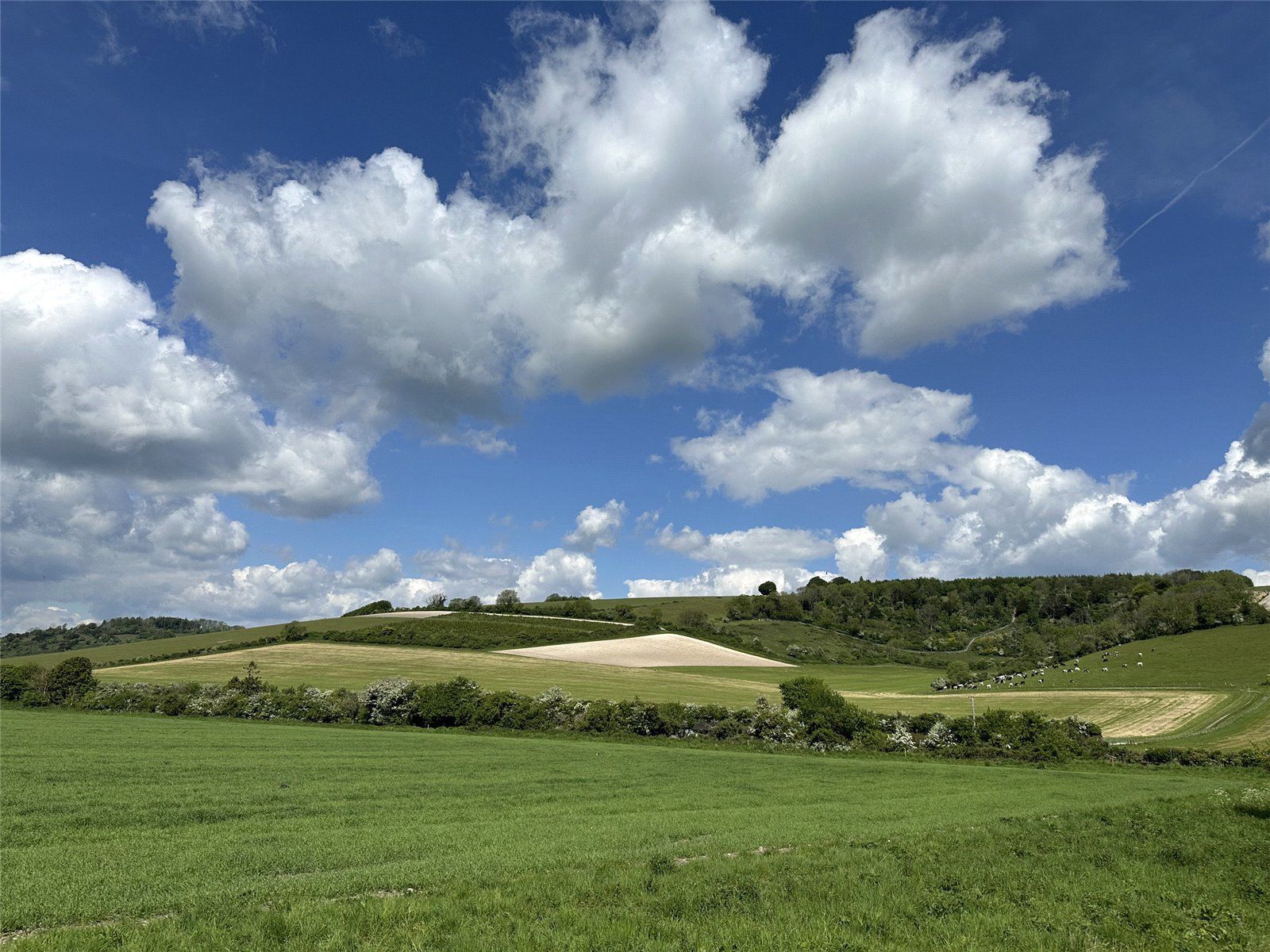 East Dean, Chichester, West Sussex, PO18, photo 13