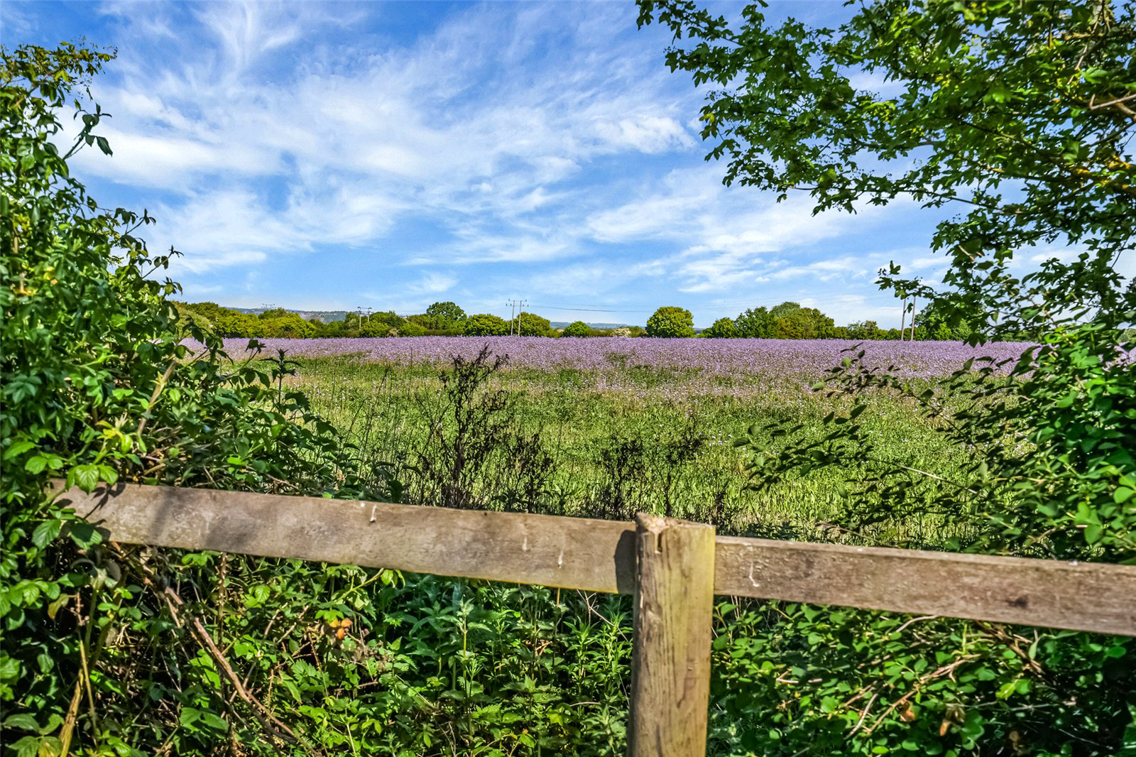 Mills Lane, Long Melford, Sudbury, Suffolk, CO10, photo 13