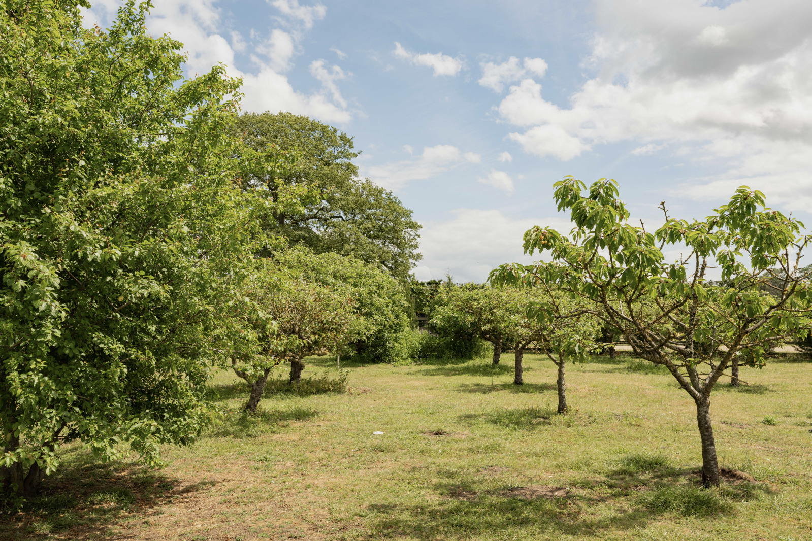 Watton Road, Shropham, Attleborough, Norfolk, NR17, photo 36