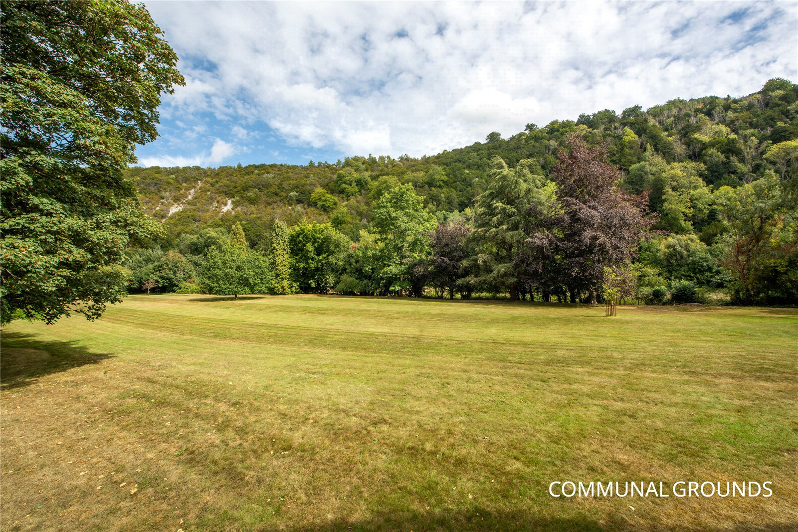 Burford Lodge, London Road, Dorking, Surrey, RH5, photo 27