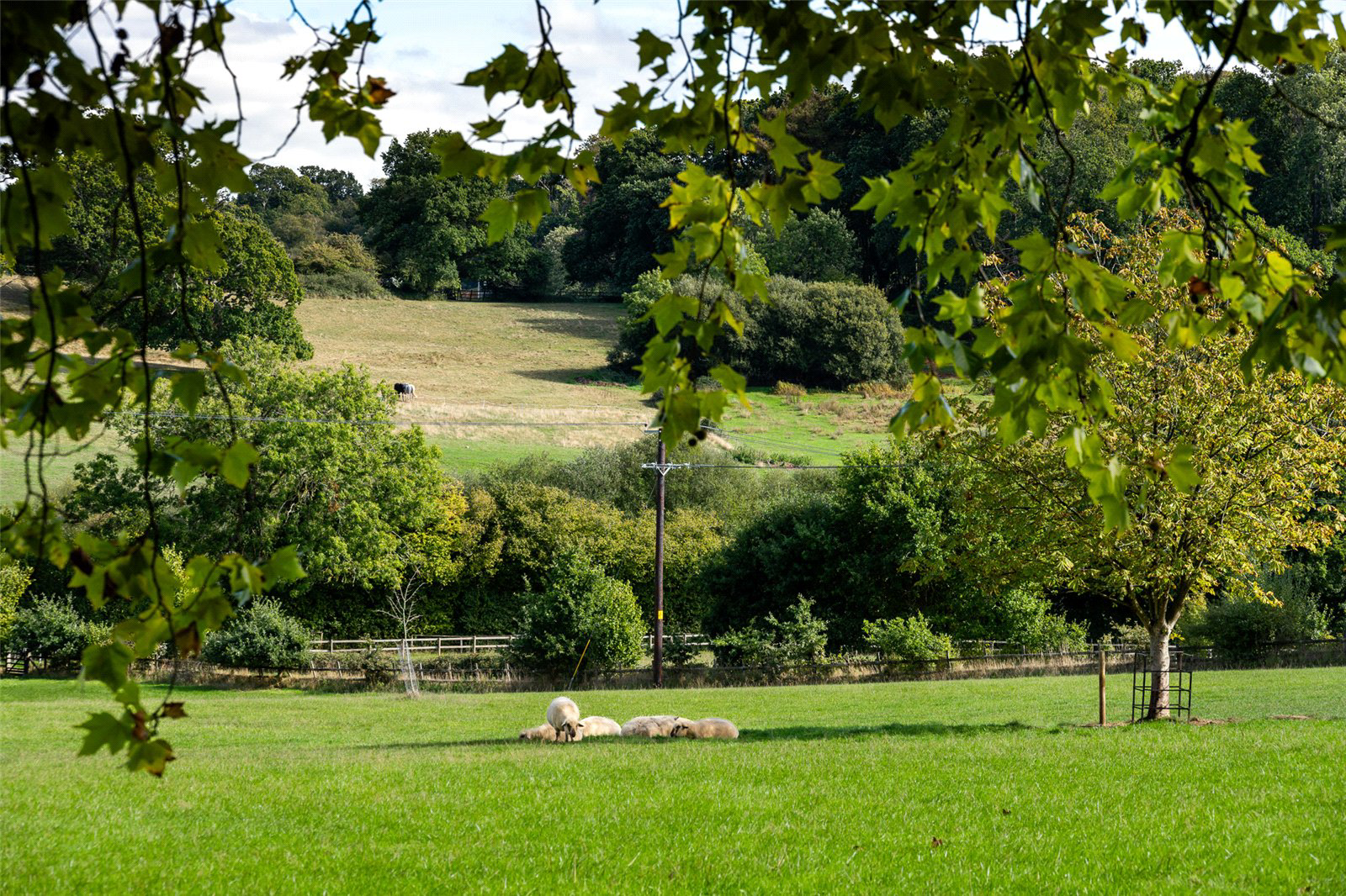 Brickyard Lane, Corfe Mullen, Wimborne, Dorset, BH21, photo 3