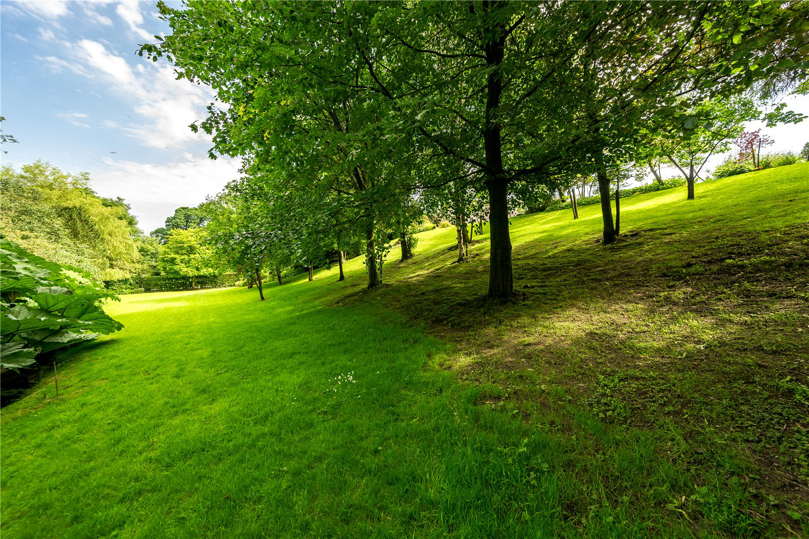 Leagram Road, Chipping, Ribble Valley, Lancashire, PR3, photo 46