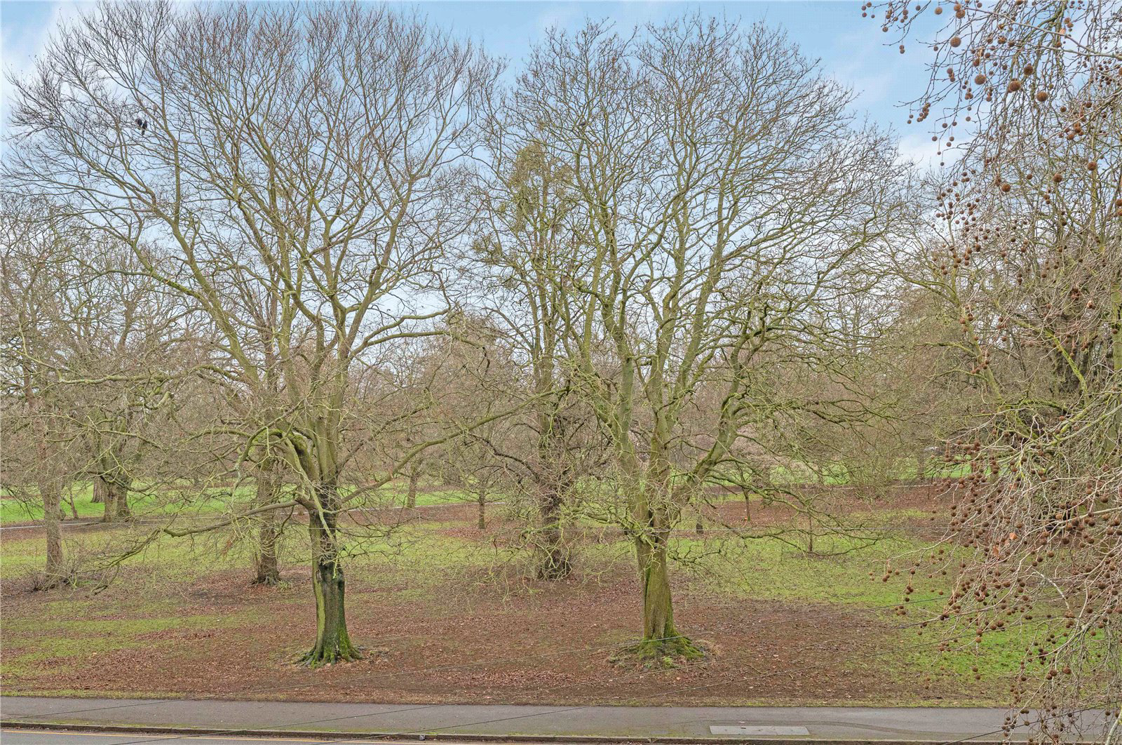 Wellingborough Road, Abington, Northampton, Northamptonshire, NN3, photo 29