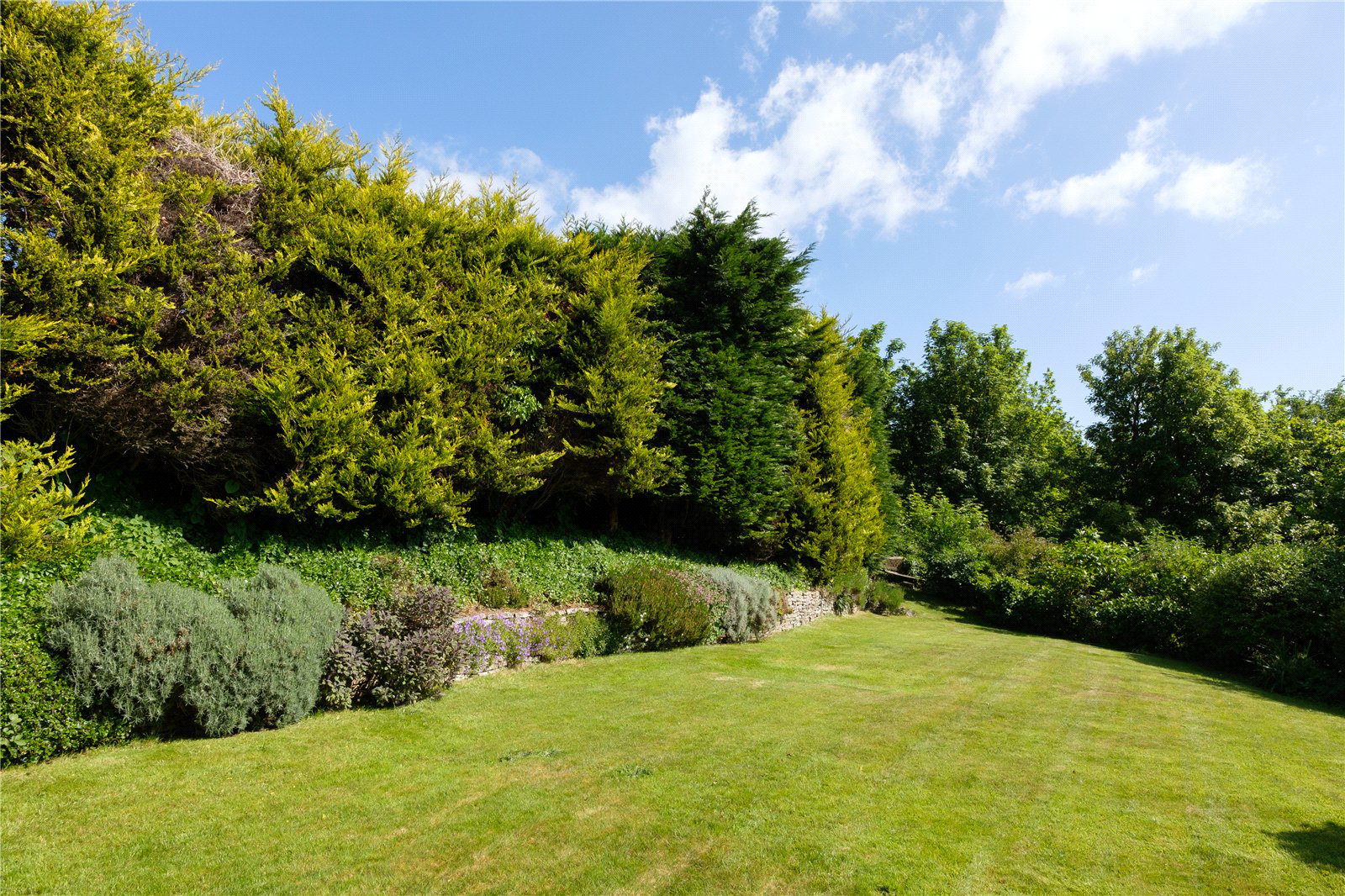 Timber Hill, Lyme Regis, Dorset, DT7, photo 17