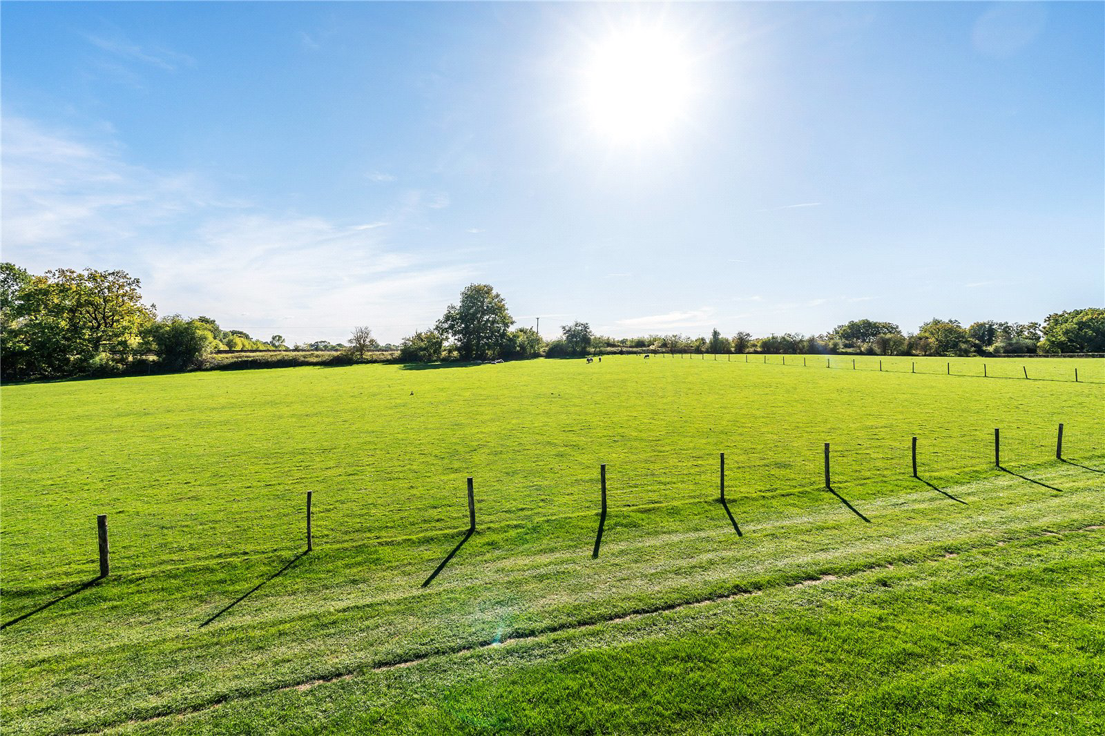 Tandridge Lane, Tandridge, Oxted, Surrey, RH8, photo 4