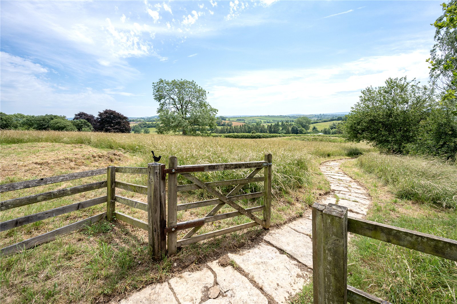 Path To Paddock